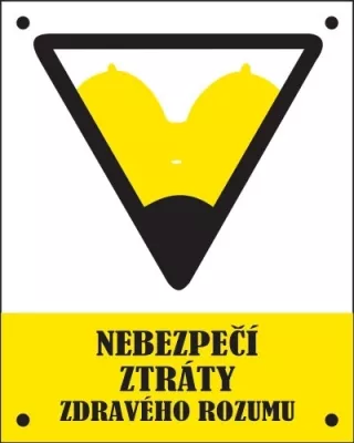 anti V21